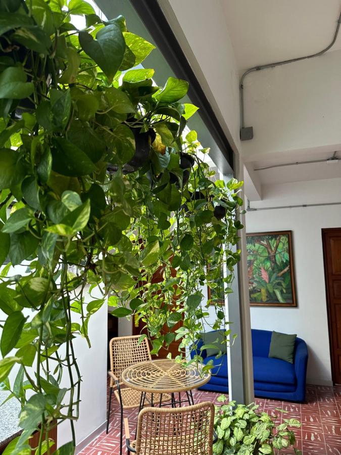 Hotel Boutique Casa Degollado Colima Zewnętrze zdjęcie