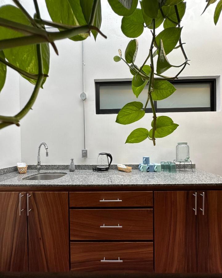 Hotel Boutique Casa Degollado Colima Zewnętrze zdjęcie